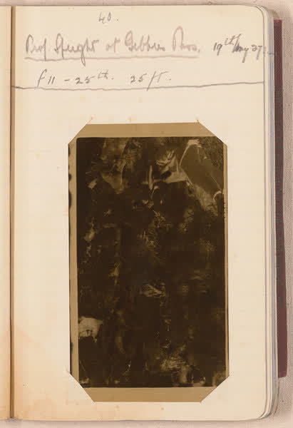 Picnic, Gebbies Pass [negative mounted in notebook], page 40, 1927