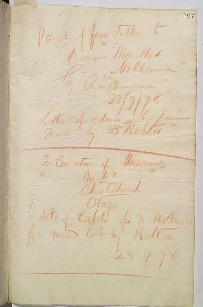 Outward Letter: Curators of Museums - Auckland, Christchurch, Otago  , Page 197: Mollusca, 1878
