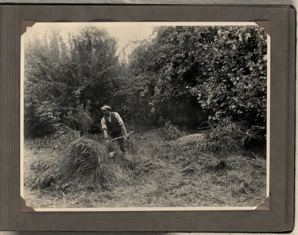 Gardening in the Millbrook Reserve, 1928