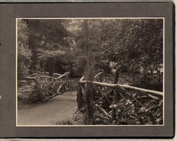 Bridge made of branches at Millbrook Reserve, 1928