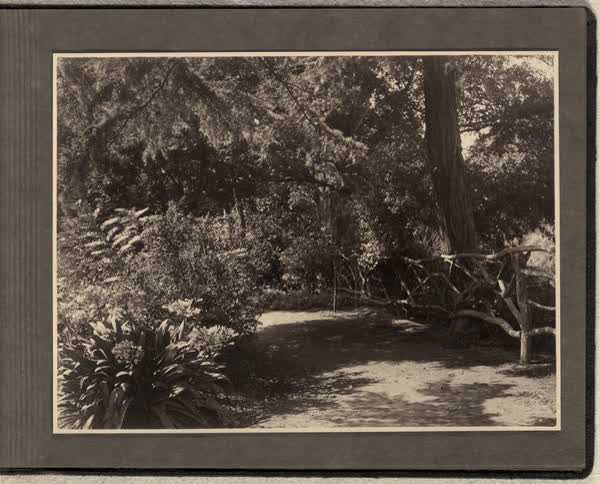 Fence in the Millbrook Reserve, 1928