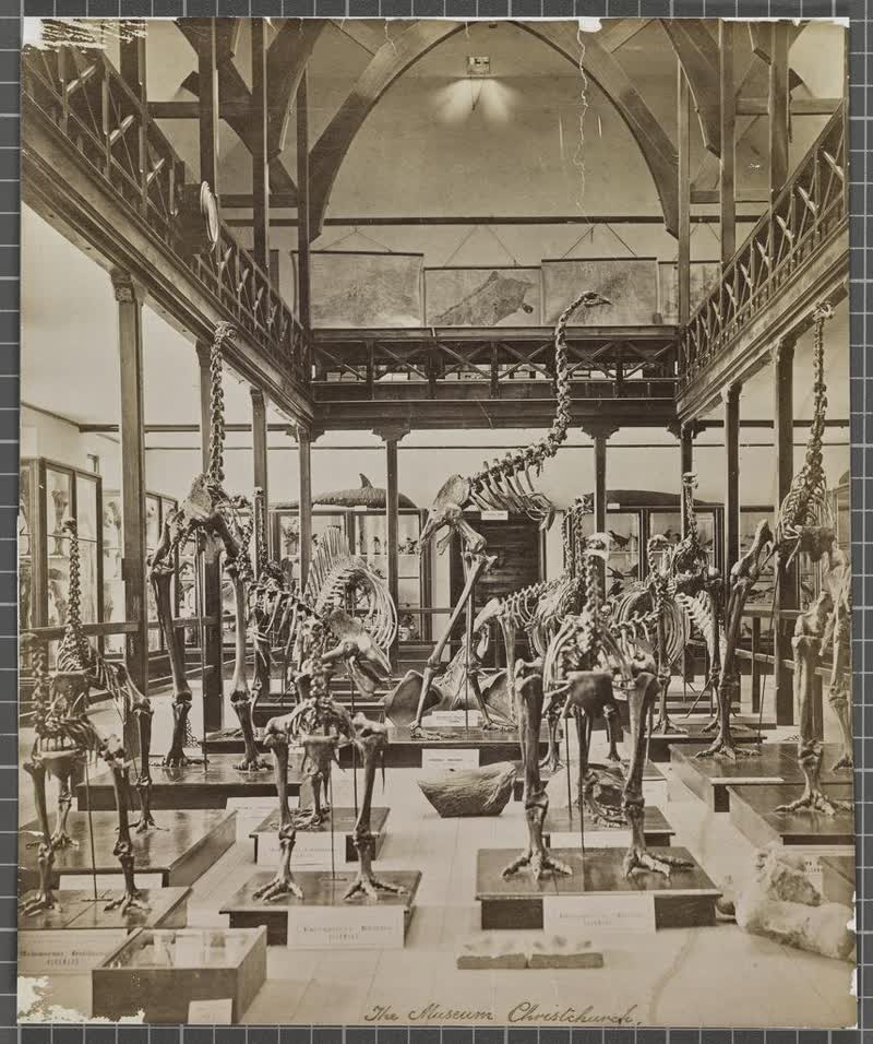 The Museum, Christchurch, 1880