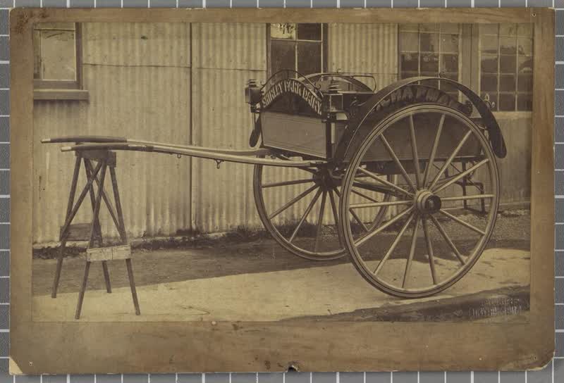 Two-wheeled horse-drawn dog cart, 1887