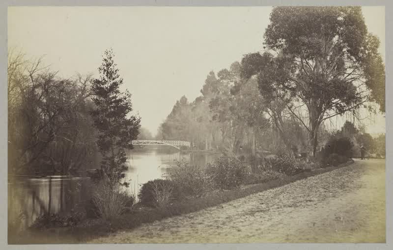 Bridge in domain, Christchurch, 1875