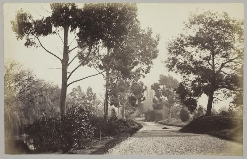 View in public domain, Christchurch, 1865
