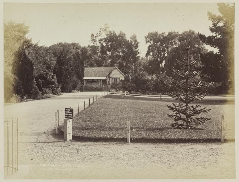 The Park, Christchurch, 1877