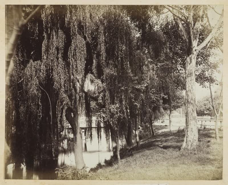 Bridge over the Avon, Christchurch, 1875