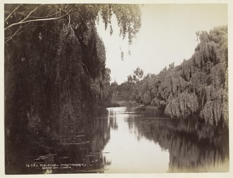 The Avon, Christchurch, 1880