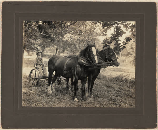 Portrait, man with horsesArchive 1054, 1900