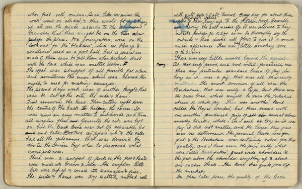 Further jottings. No. 2, image 32 of 64, 1890