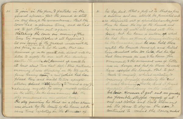 Reminiscences of early days at Brookside, image 17 of 63, 1890