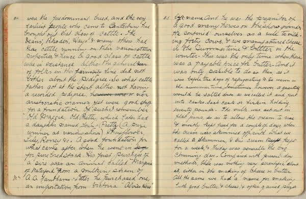 Reminiscences of early days at Brookside, image 44 of 63, 1890