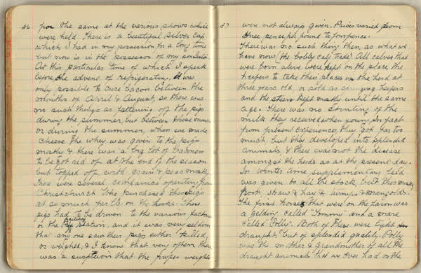 Reminiscences of early days at Brookside, image 45 of 63, 1890