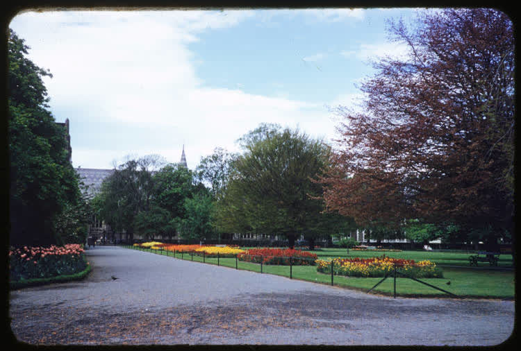 The Botanic Gardens, Christchurch, 1950