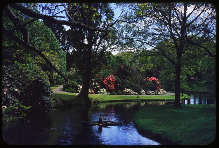 River Avon, Christchurch, 1950