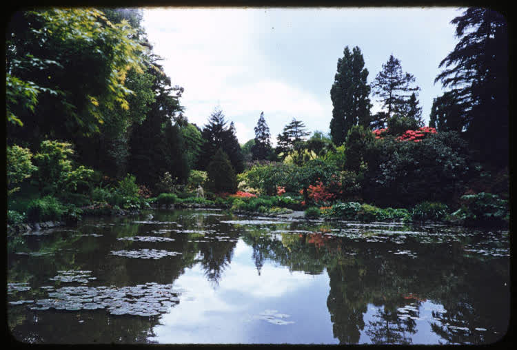 The Botanic Gardens, Christchurch, 1950