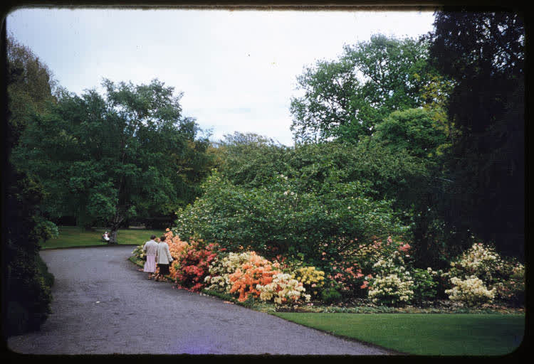 The Botanic Gardens, Christchurch, 1950