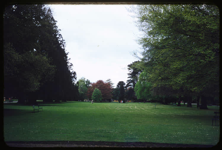 Archery Lawn, Botanic Gardens, Christchurch, 1950