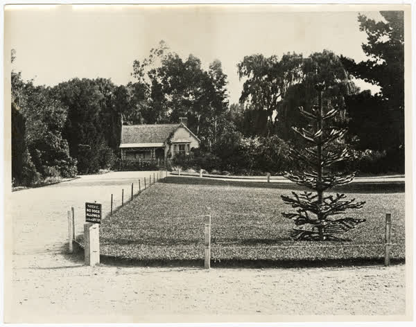 Botanic Gardens entrance, Rolleston Avenue, 1910