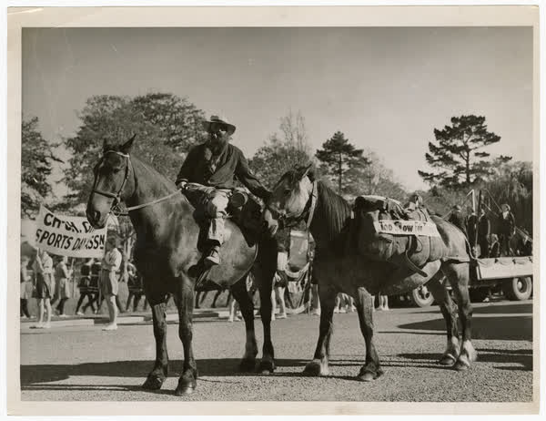 Horses in the Centennial procession in Christchurch, 1940