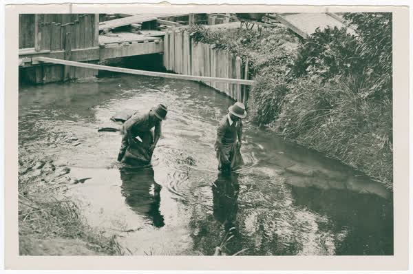 Sandbagging the bed of the Heathcote River, 1942