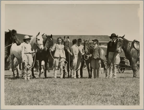 Horse judging at A and P show, 1940