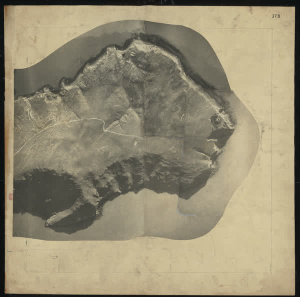 Aerial photomosaic of Godley Head, 1926