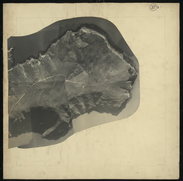 Aerial photomosaic of Godley Head, 1926