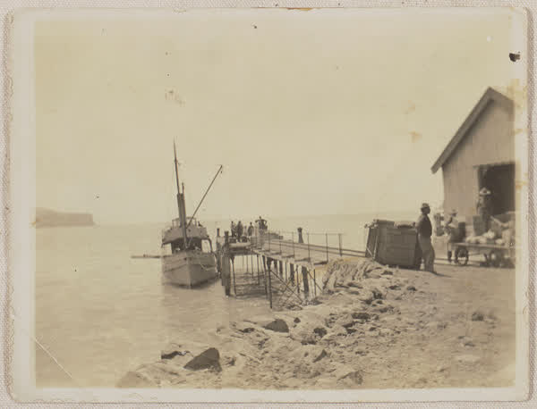 Steamboat on the Okains Bay jetty, 1900