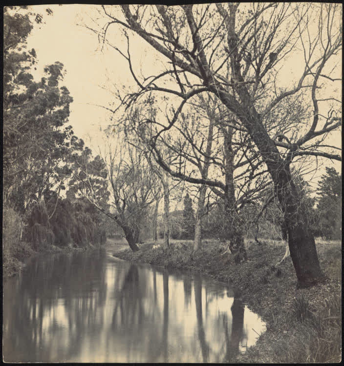 River Avon, Christchurch, 1890