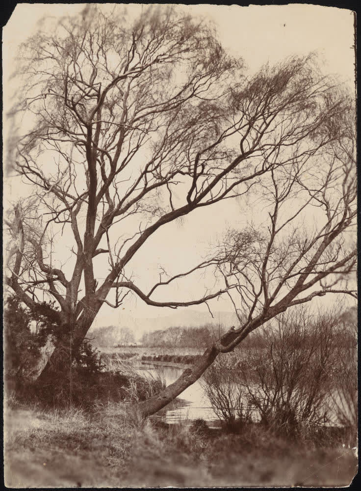 River scene, 1890
