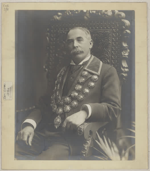 Thomas Gapes, Mayoral portrait, 1894