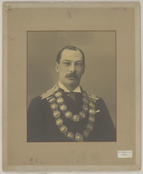 Henry Beswick, Mayoral portrait, 1896