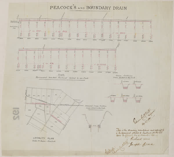 Peacocks and boundary drain, 1890