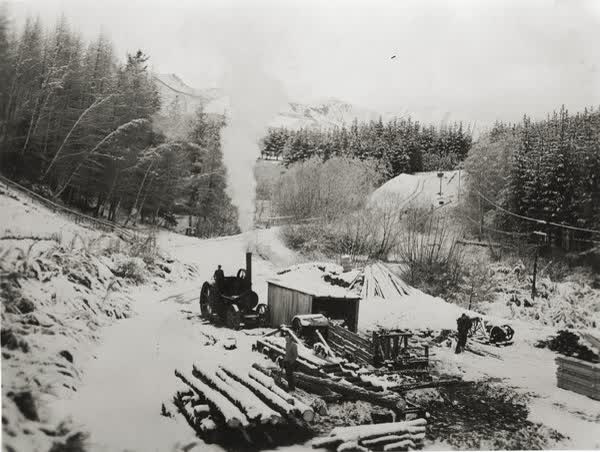 Bashers Sawmill, 1900