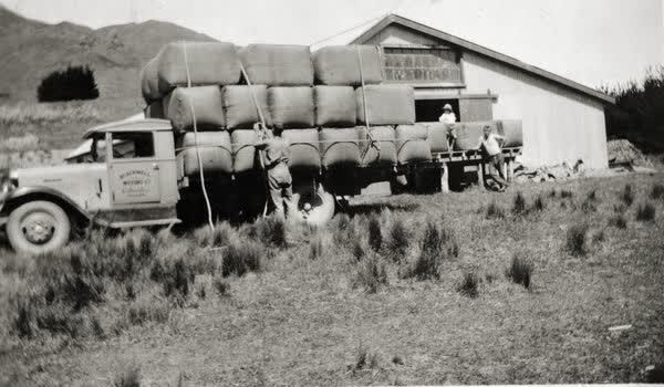 Loading wool on a truck, 1900