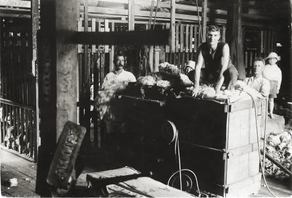 St Helens Station wool pressing, 1900