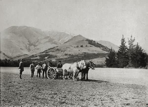 Queen Mary Hospital farm drilling, 1916