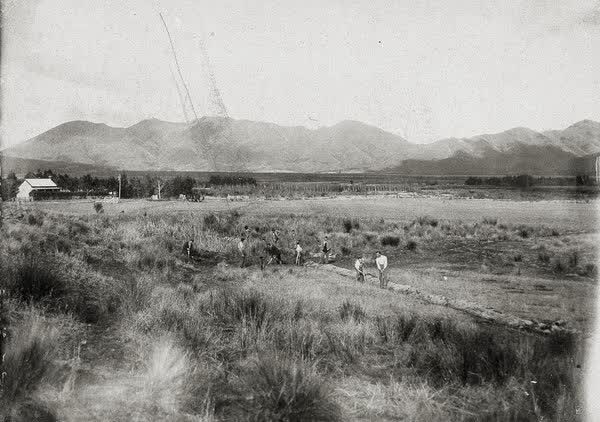 Queen Mary Hospital for Sick and Wounded Soldiers instructional farm, 1916