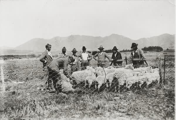 Queen Mary Hospital for Sick and Wounded Soldiers instructional farm, 1916