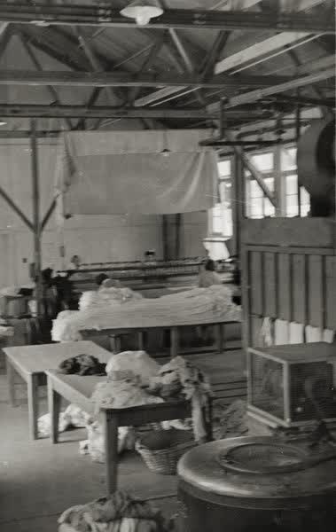 Queen Mary Hospital laundry, 1900