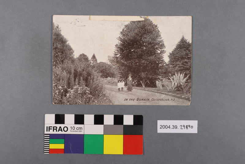 Postcard: In the Domain, Christchurch, N.Z., 1914