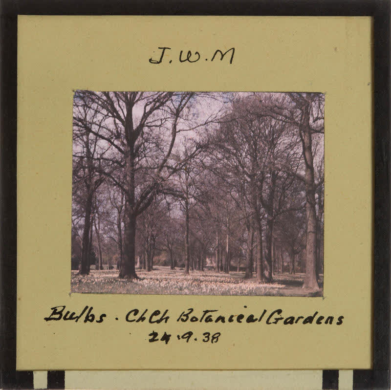 Lantern Slide: Christchurch Botanical Gardens, 1938
