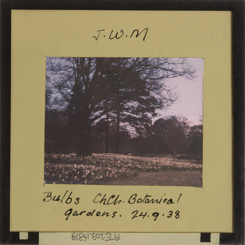 Lantern Slide: Christchurch Botanical Gardens, 1938