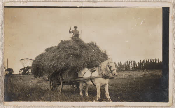 George Ashby on his farm, 1900