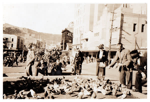 Pigeon Park in Wellington, 1940