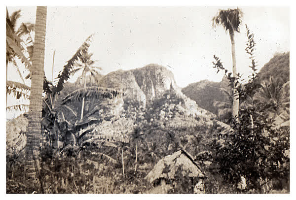 Fijian house and landscape, 1946