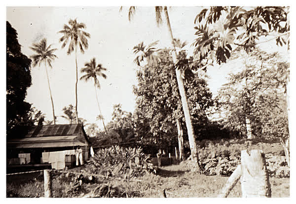 House in Fiji, 1946