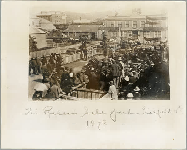 Preece's sale yards, Lichfield Street, 1878