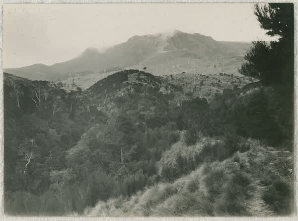 Mount Herbert from Summit Track, 1920